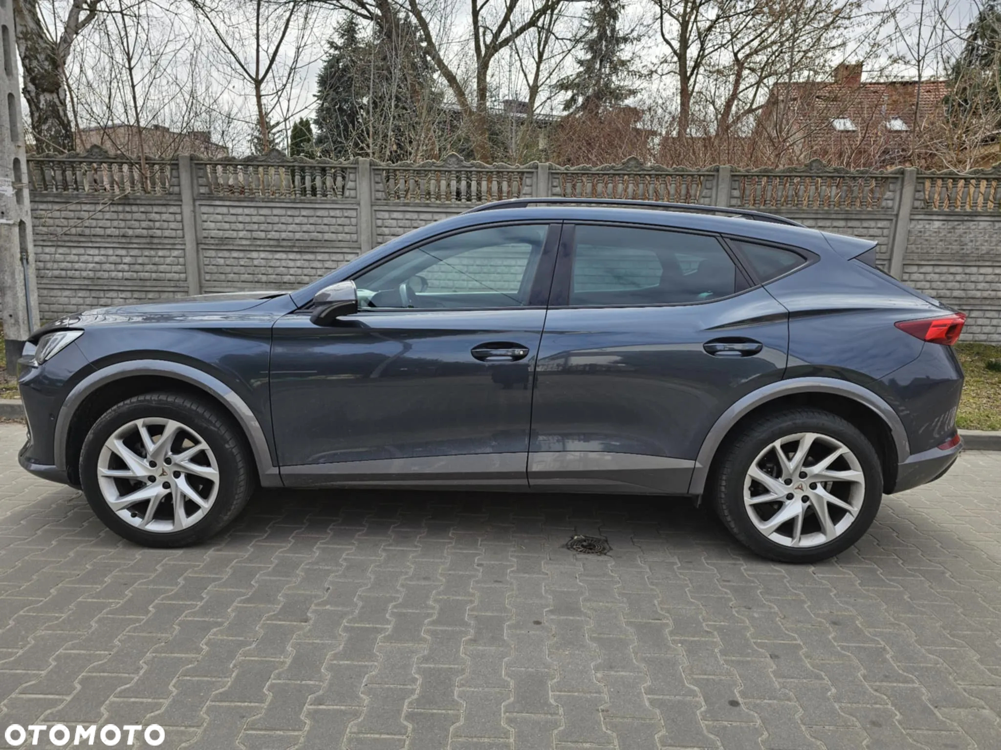 Cupra Formentor 1.5 TSI DSG - 2
