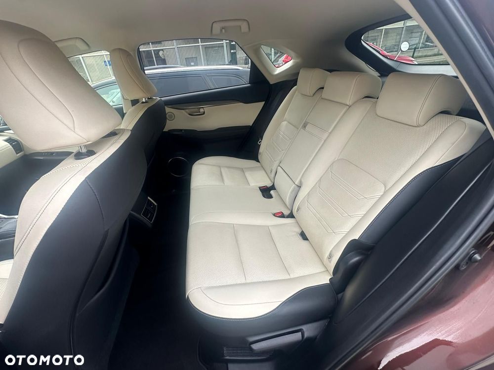 Lexus NX 300 Prestige AWD - 2