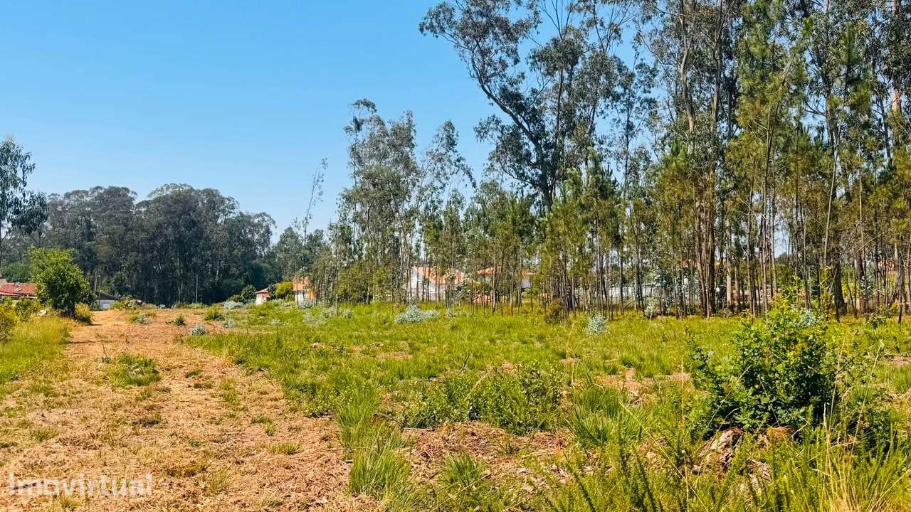 Terreno Para Construção  Venda em São Miguel do Souto e Mosteirô,Santa - Grande imagem: 5/6