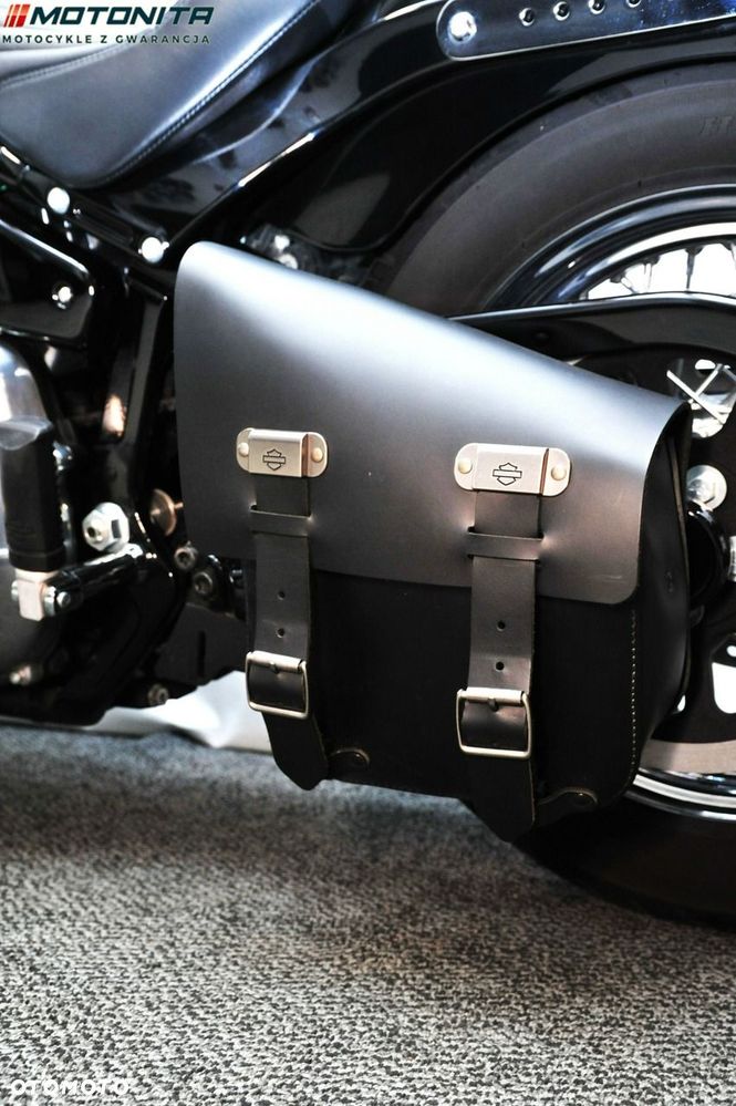 Harley-Davidson Softail Standard - 15