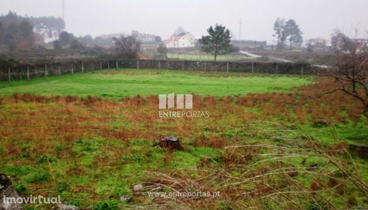 Terreno Alvarães - Grande imagem: 2/4