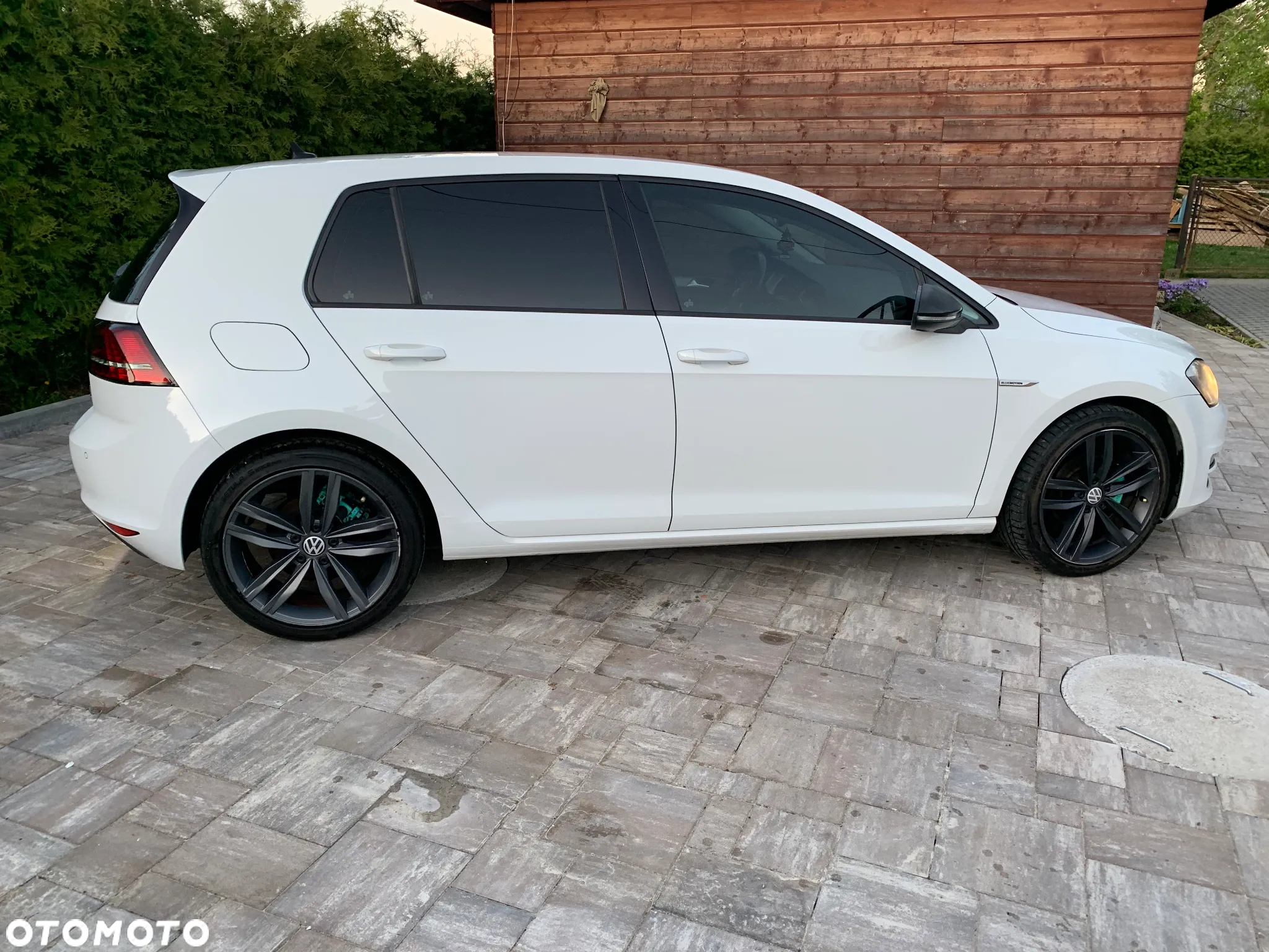 Volkswagen Golf VII 1.6 TDI BMT Comfortline - 10