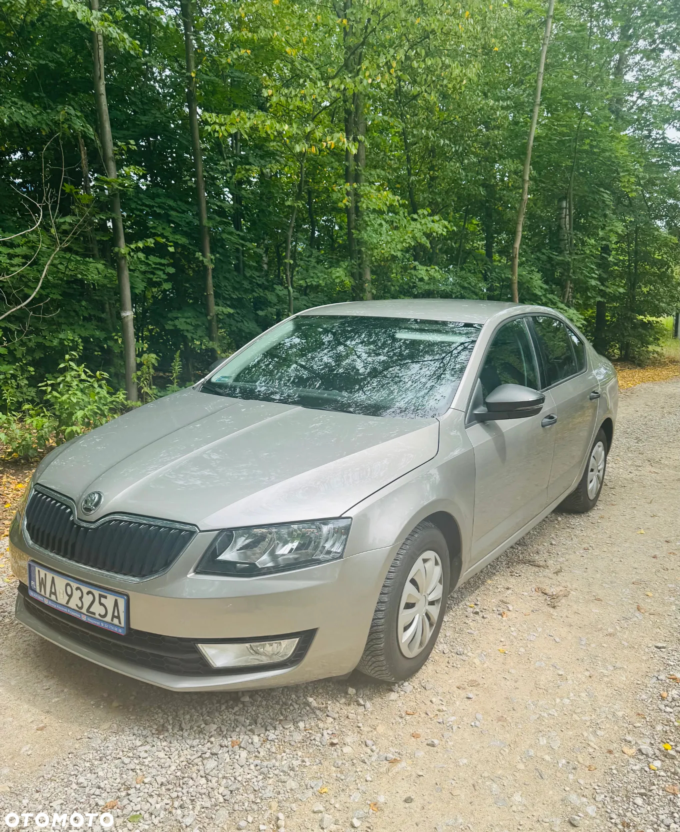 Skoda Octavia 1.2 TSI Active - 3