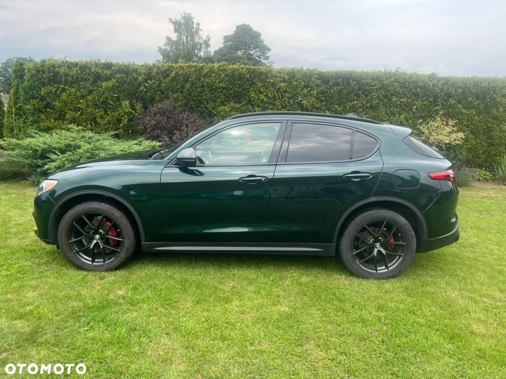 Alfa Romeo Stelvio - 3