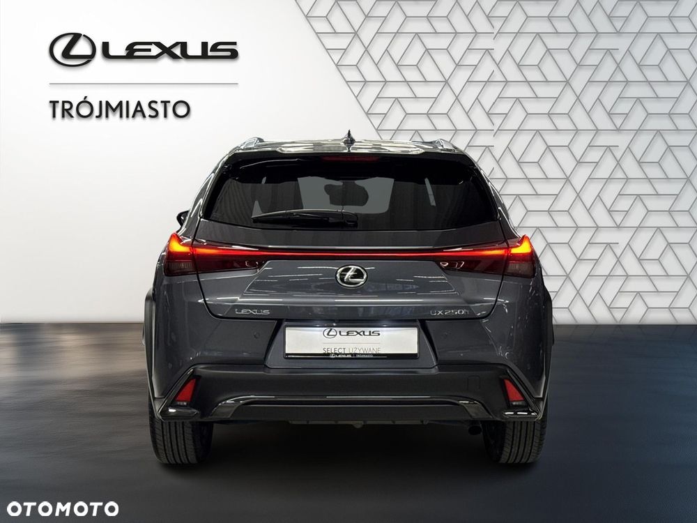 Lexus UX 250h GPF F Sport Design 2WD - 4