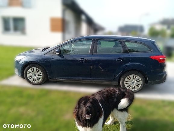 Ford Focus - 2