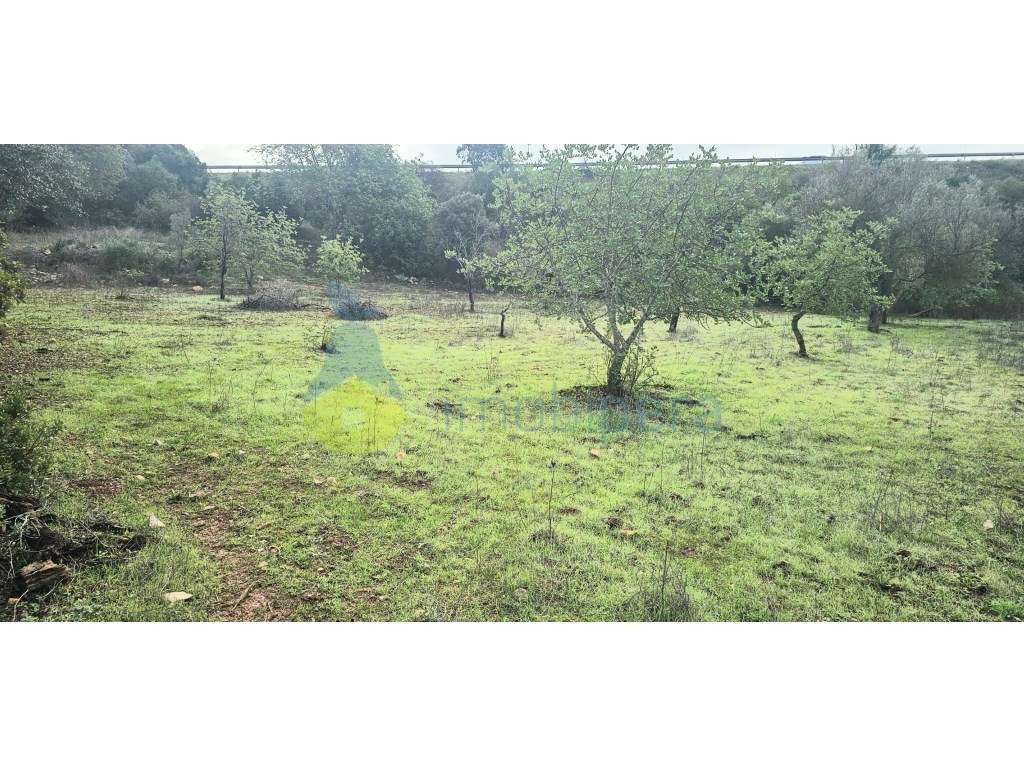 Terreno Rústico - Barradinha, Paderne | 5.625 m² | A 200m do Castel... - Grande imagem: 2/12
