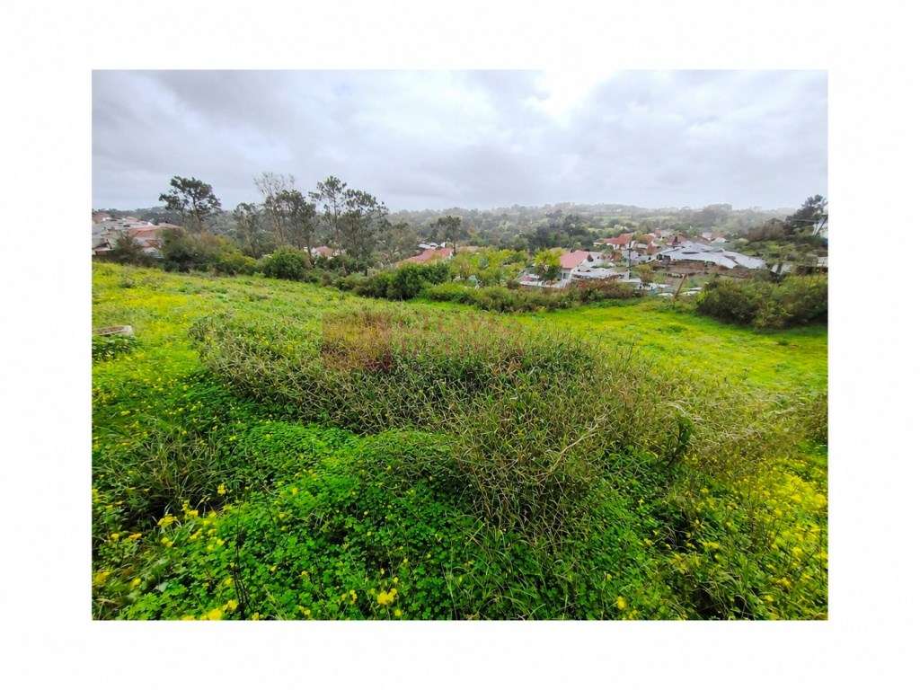 ERICEIRA - FONTE BOA DOS NABOS - LOTE DE TERRENO URBANO COM 330 M2 - Grande imagem: 3/21