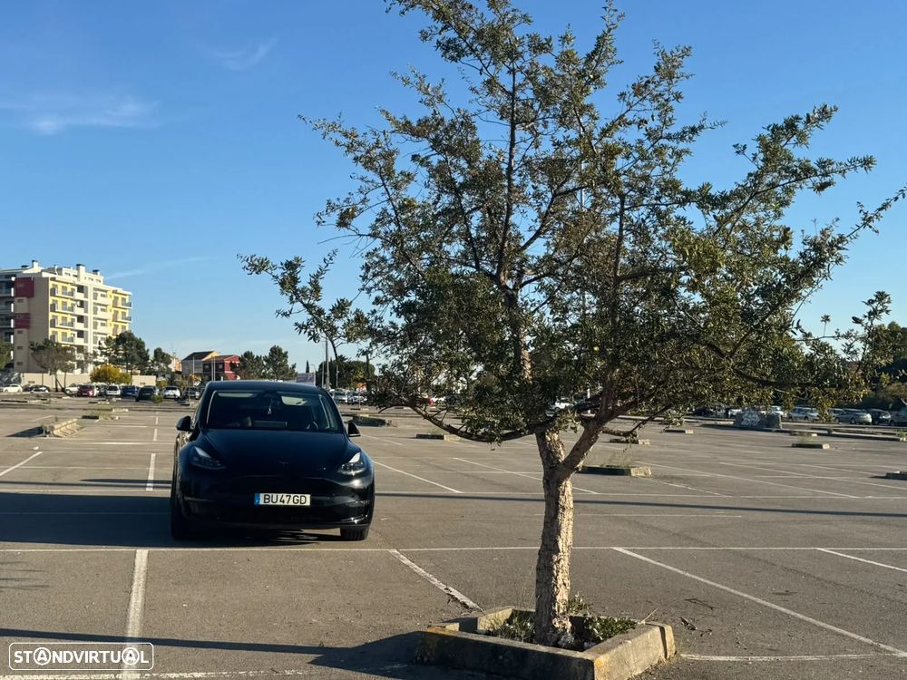 Tesla Model Y Performance Dual Motor AWD - 39