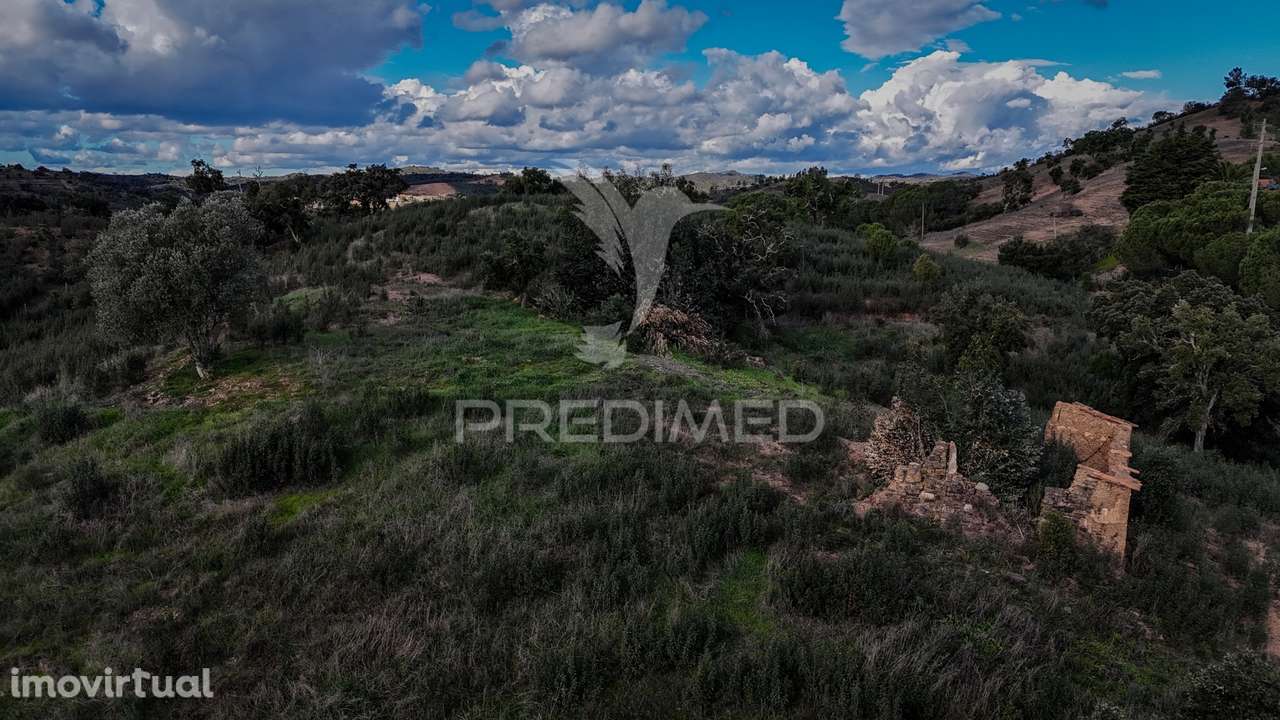 Quinta com projeto em aprovação - Grande imagem: 5/9