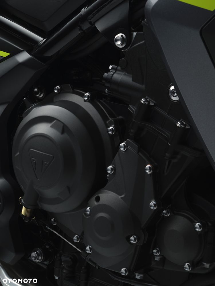 Triumph Tiger - 10
