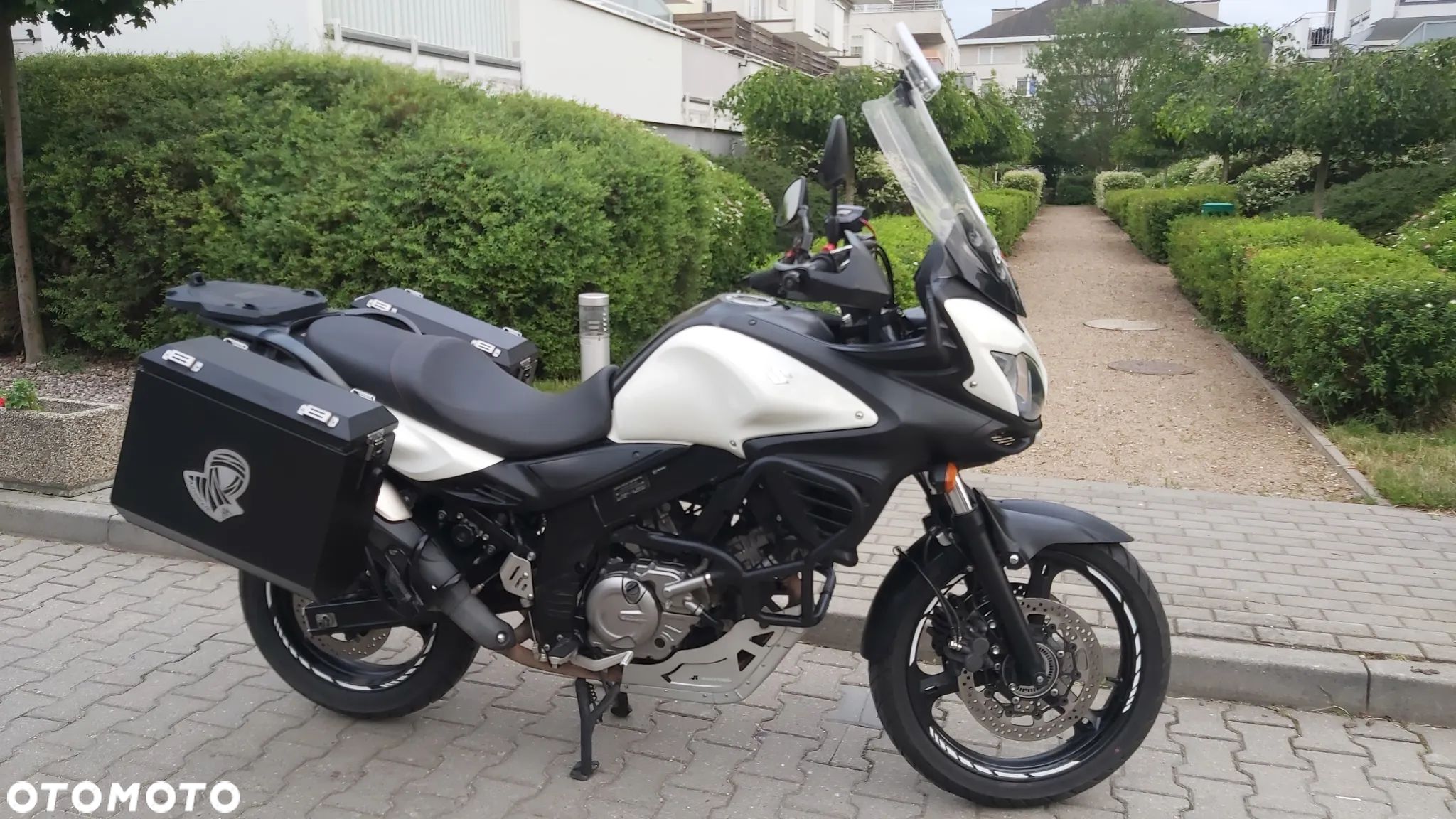Suzuki DL
