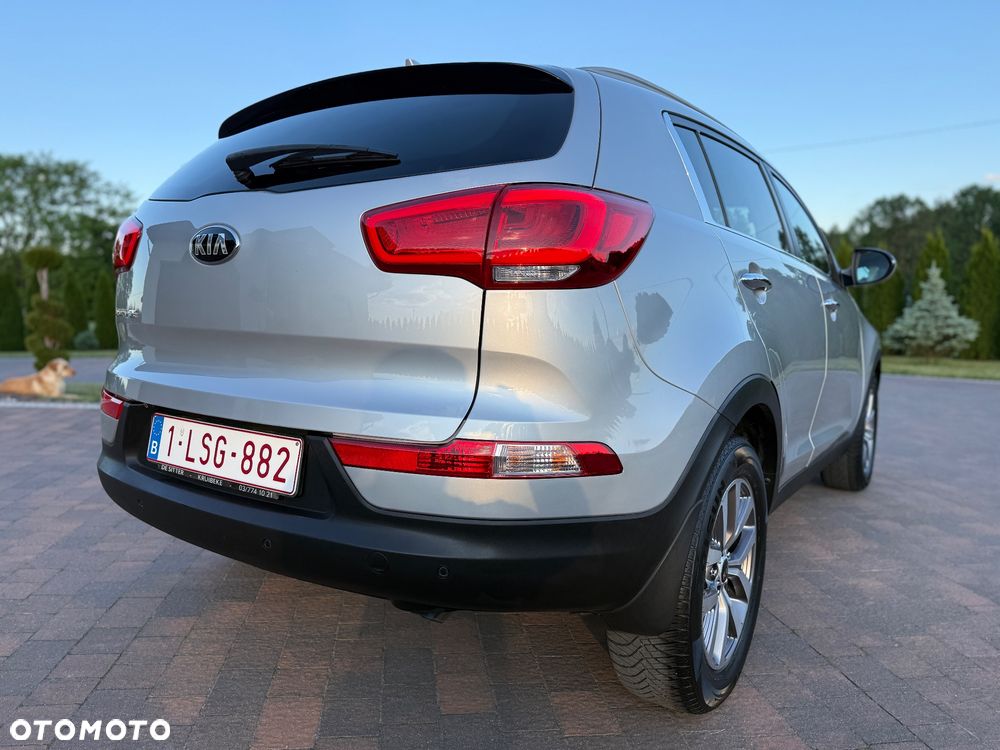 Kia Sportage 1.6 GDI Business Line L 2WD - 15