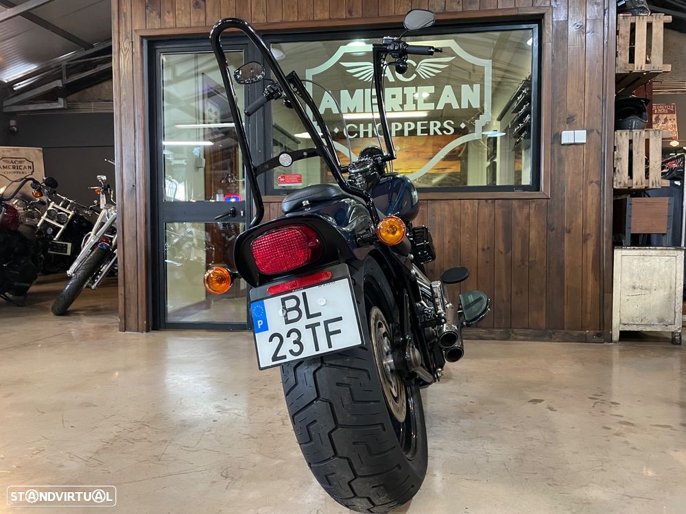 Harley-Davidson FLSTS Crossbones - 9