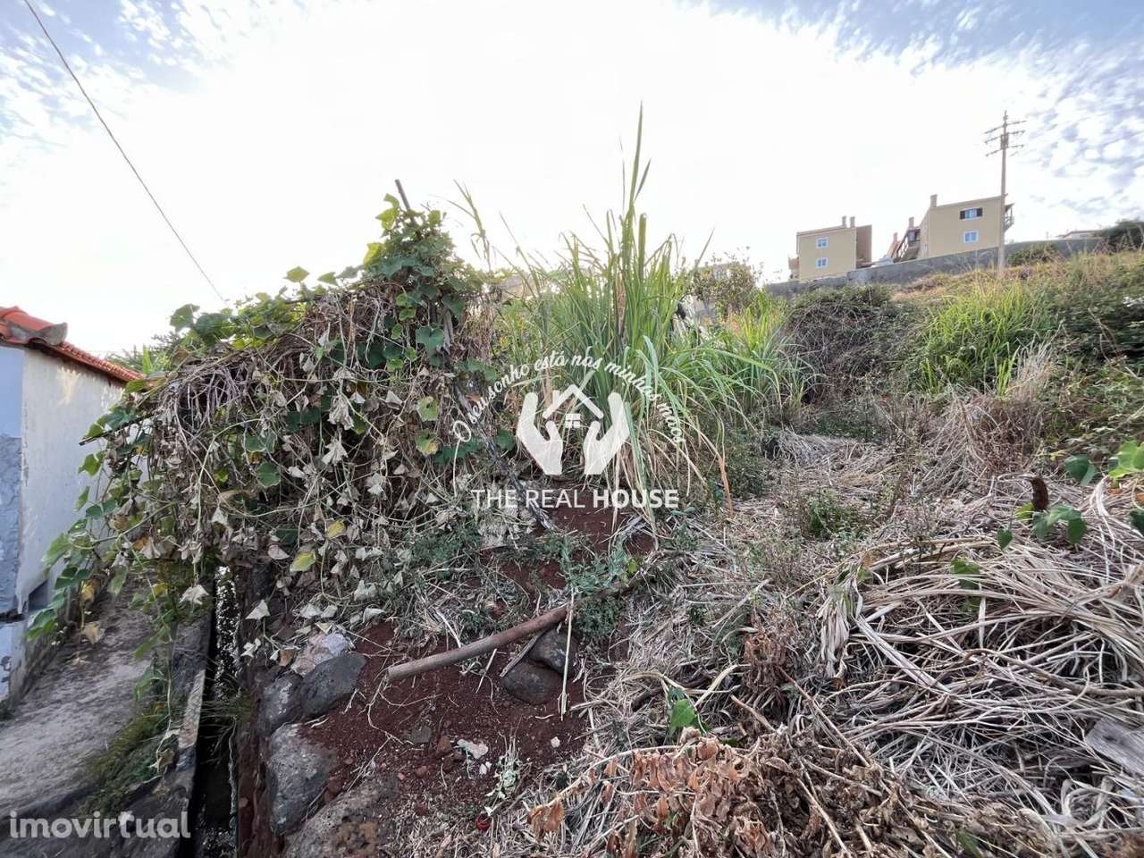 Terreno para Construção em Santa Cruz - Grande imagem: 5/20