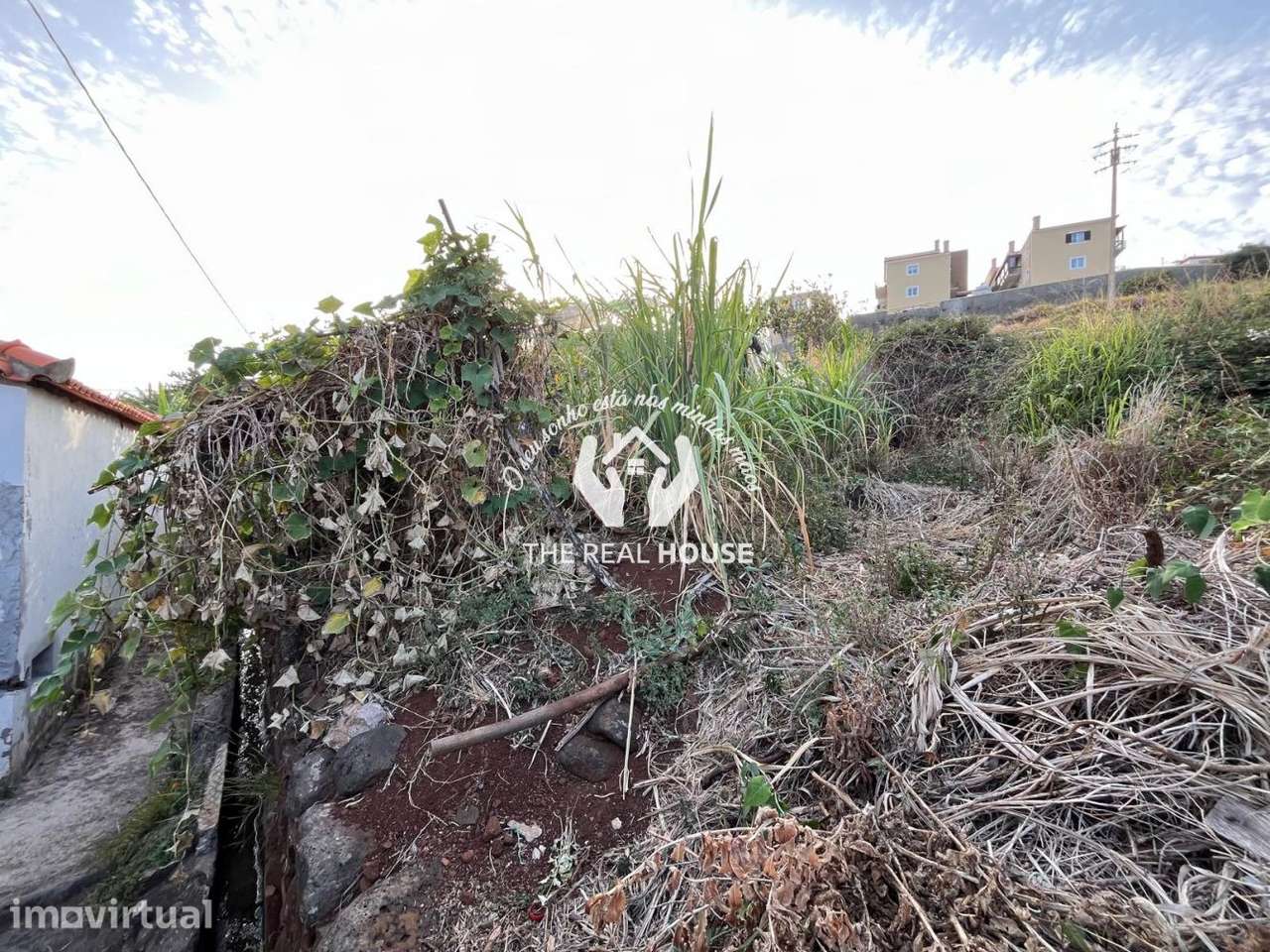Terreno para Construção em Santa Cruz - Grande imagem: 5/20