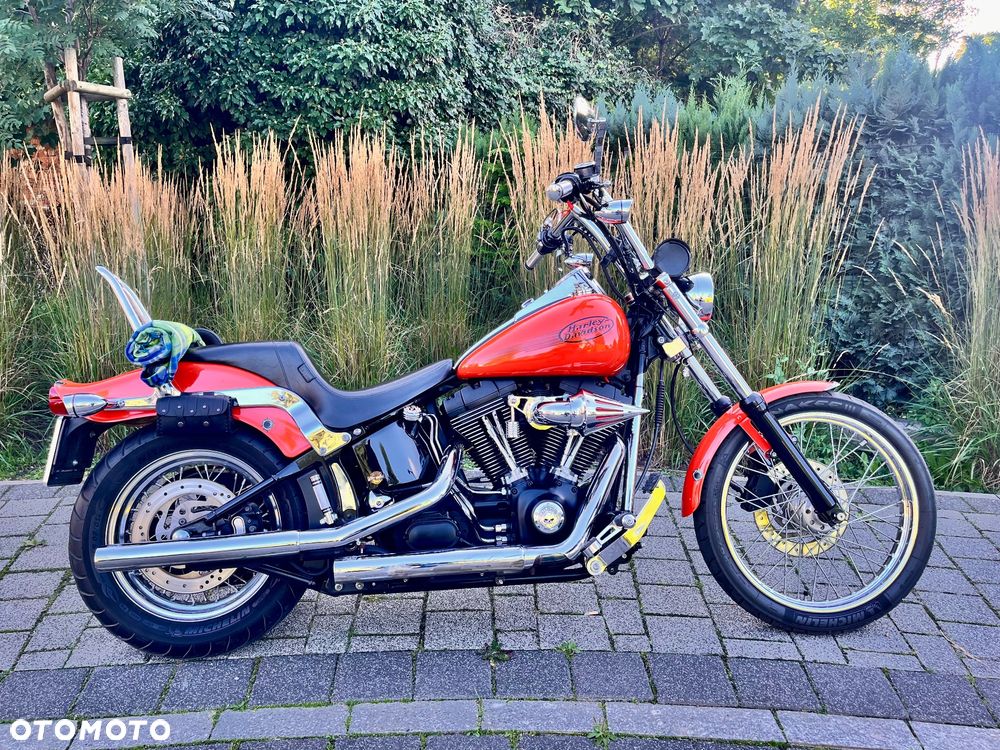 Harley-Davidson Softail Standard - 3