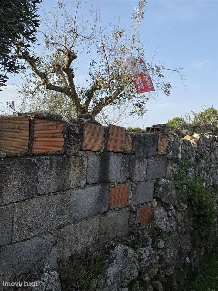 Terreno - Grande imagem: 5/7