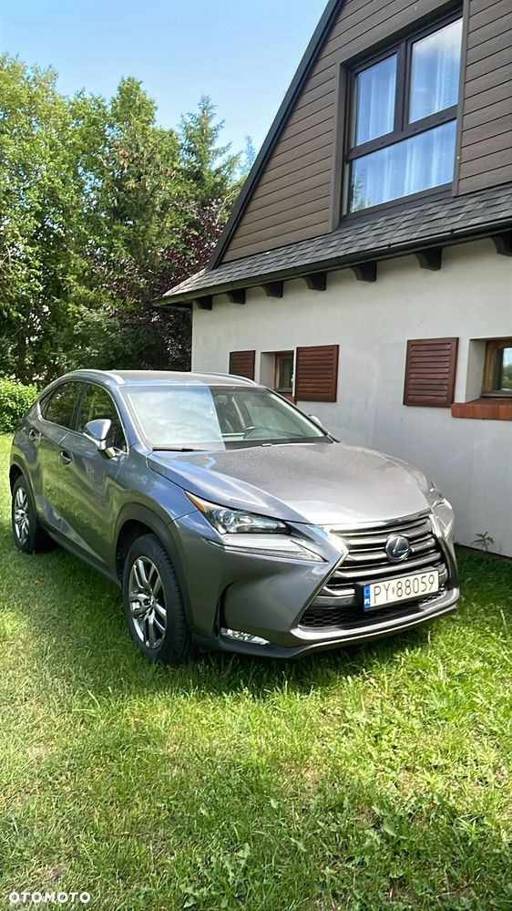 Lexus NX 300h Comfort AWD - 1