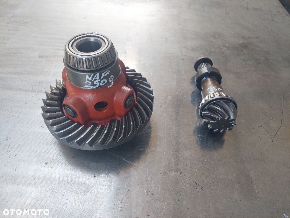 Dyferencjał Mechanizm różnicowy Koło talerzowe Wałek Ataku Przekładnia zębata Obudowa Clark Hurth Dana Spicer MANITOU BF DANA SPICER 212/192-002 MANITOU Ahlmann Komatsu JCB Kramer Zeppelin Schaeff Terex Liebherr [9/35, F-29, S-12][NAP 2509] - 1