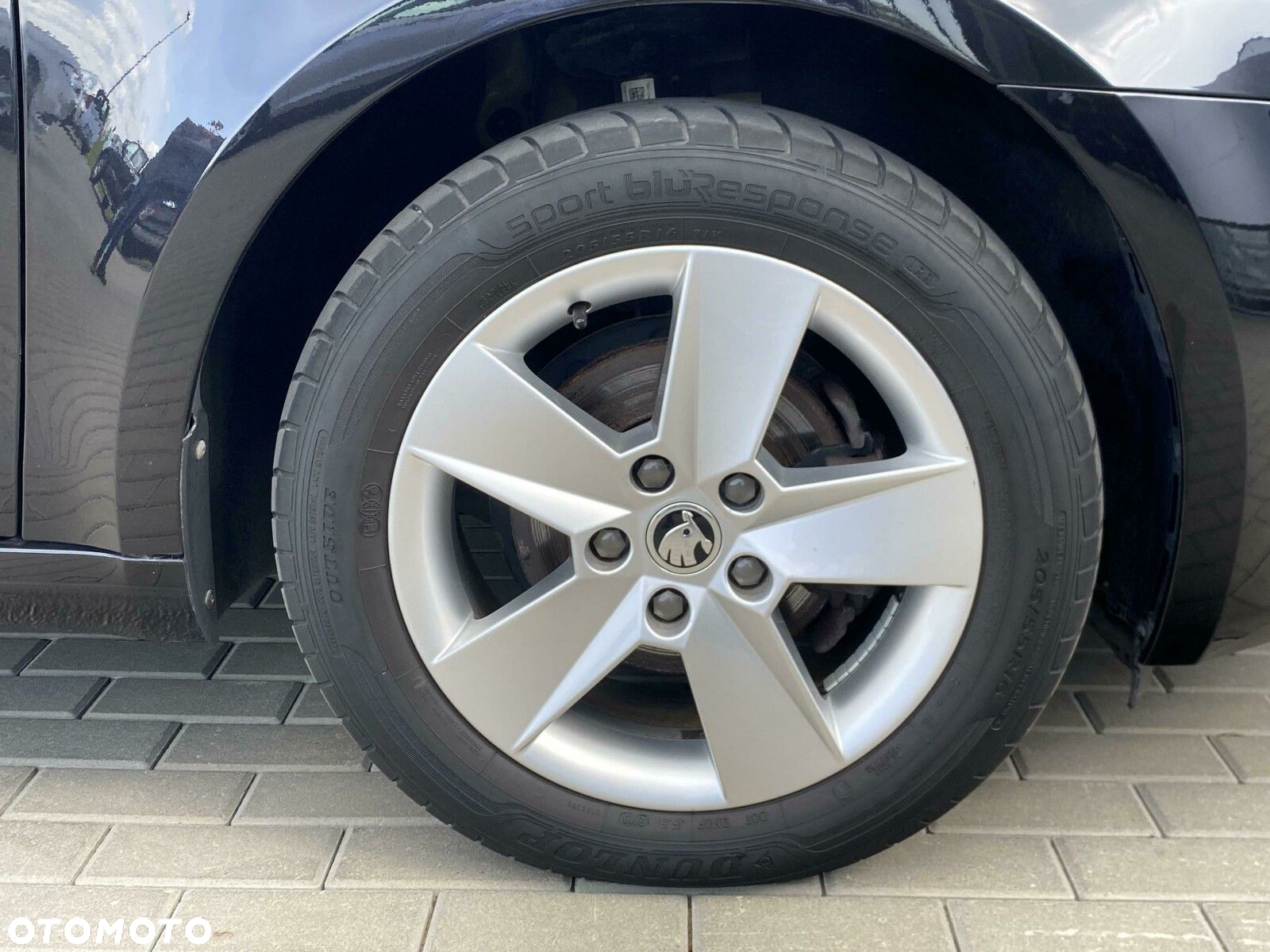 Skoda Octavia 1.6 TDI Ambition - 23