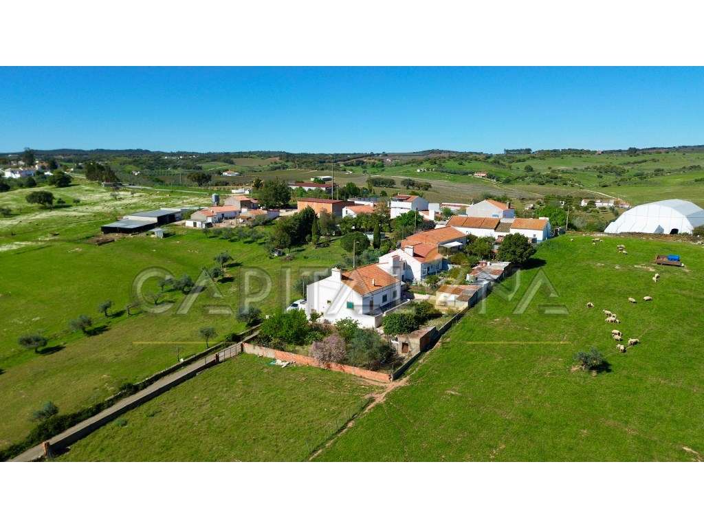 Moradia T3 com terreno de 700m² e vista | Borba - Grande imagem: 4/27