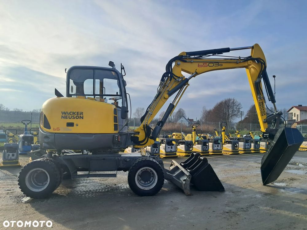 Wacker Neuson 6503 - 8