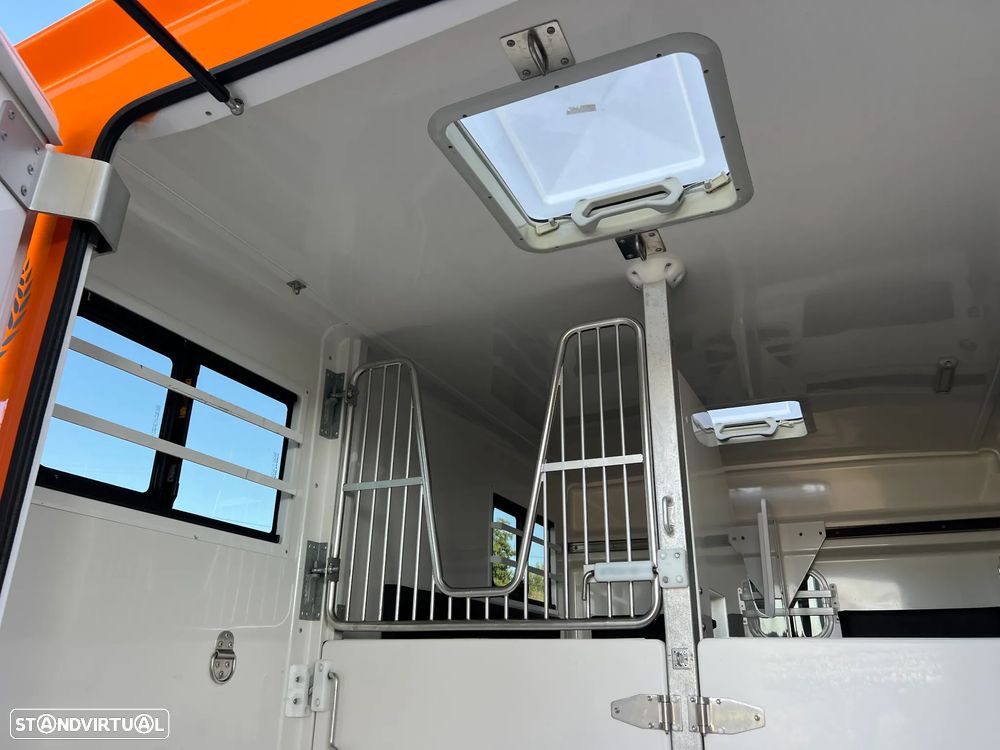 Renault MASTER 2.3 BlueDci 170 cv Esp. Cavalos de Desporto Barbot - 23