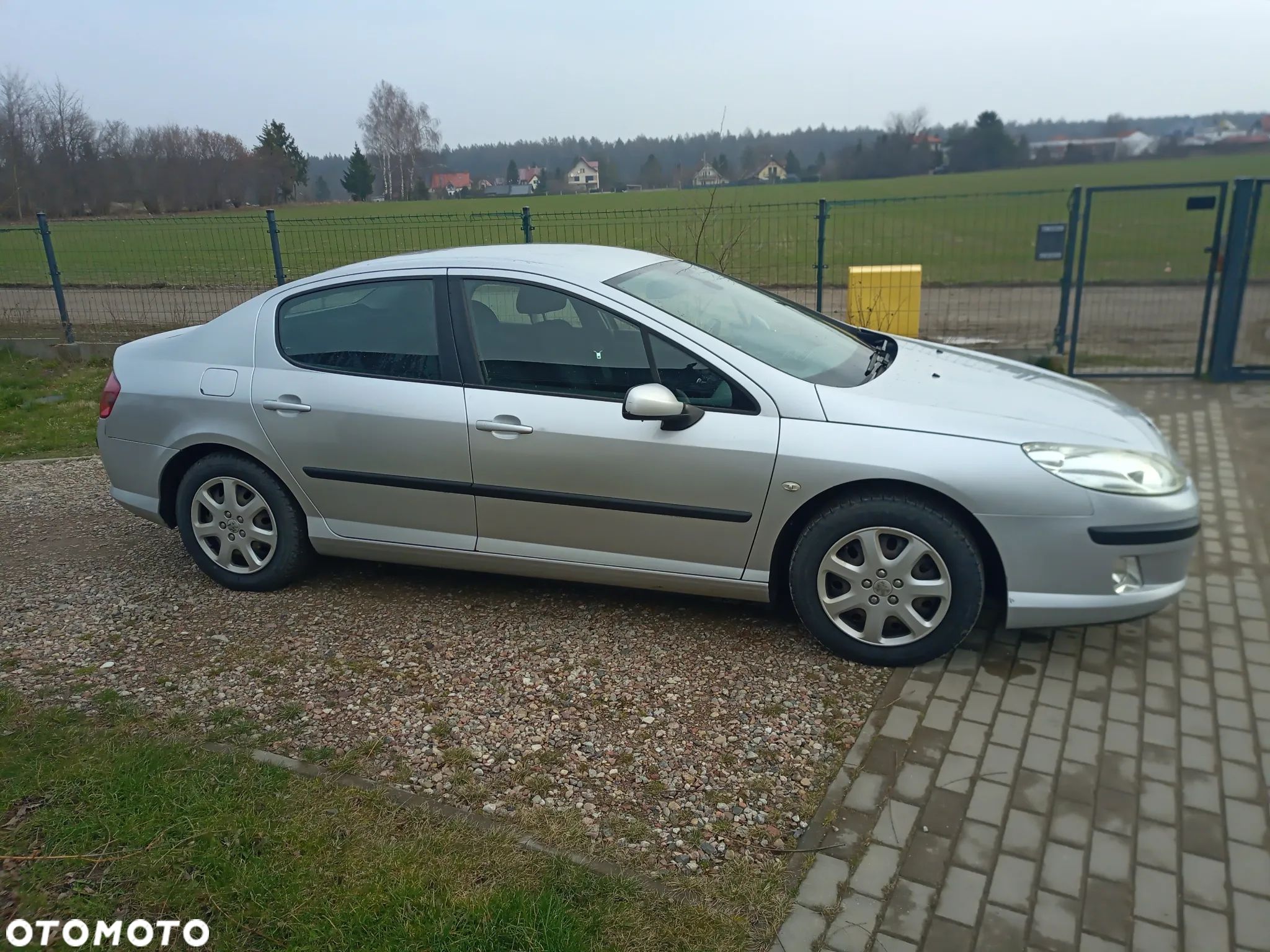 Peugeot 407 1.8 Presence - 1