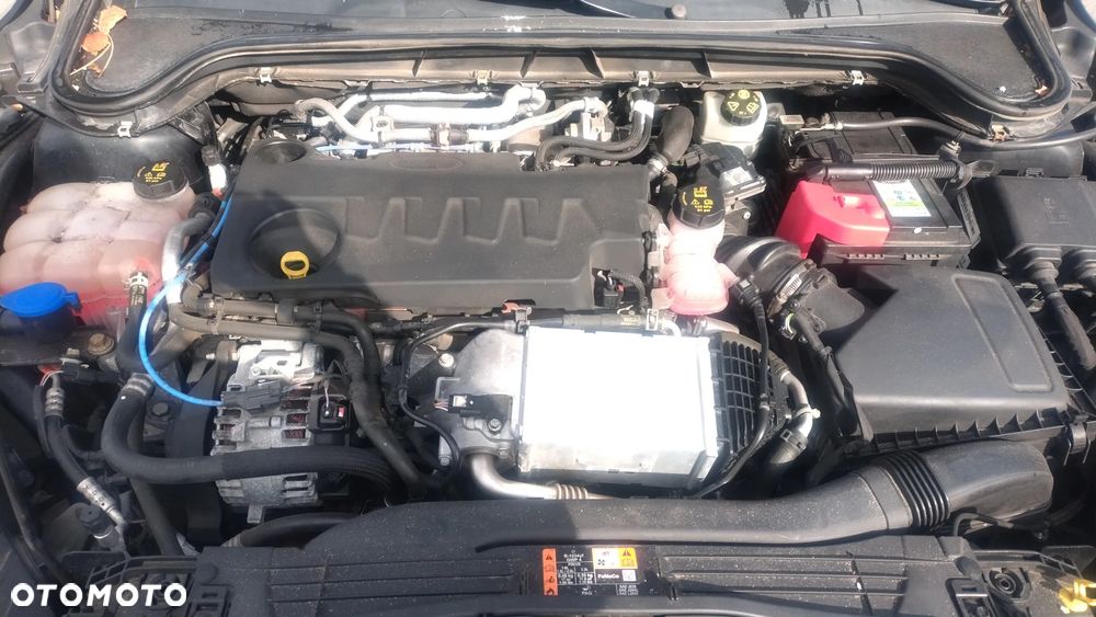 Ford Focus 2.0 EcoBlue Titanium Business - 20