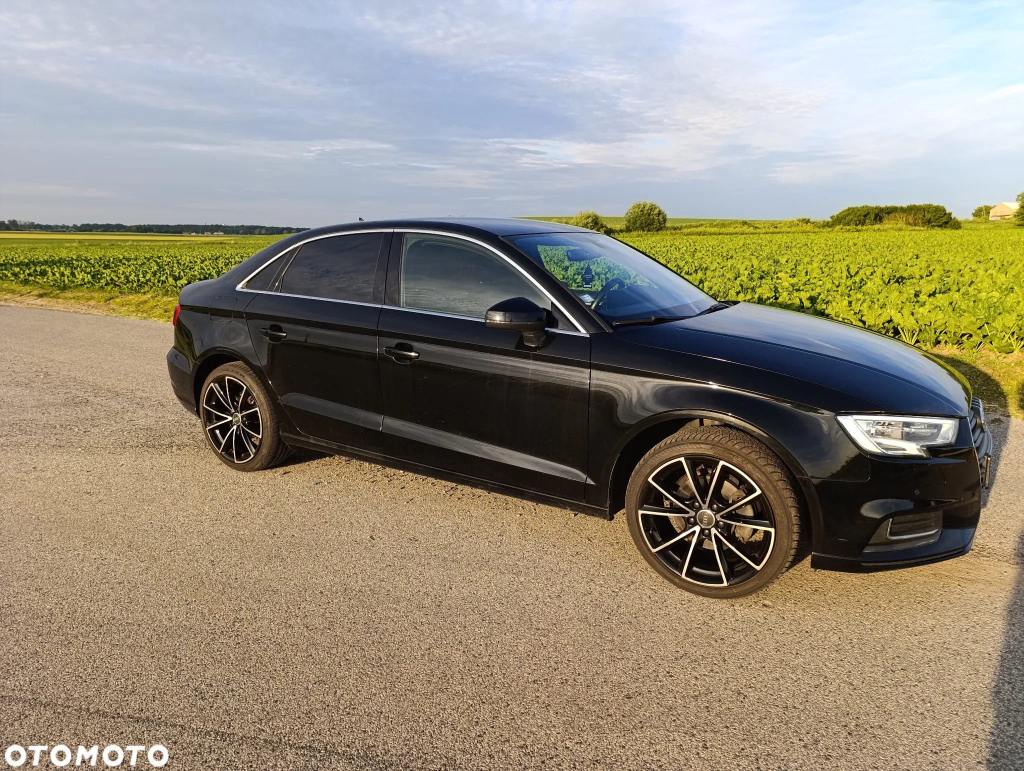 Audi A3 1.6 TDI Sportback S tronic - 3