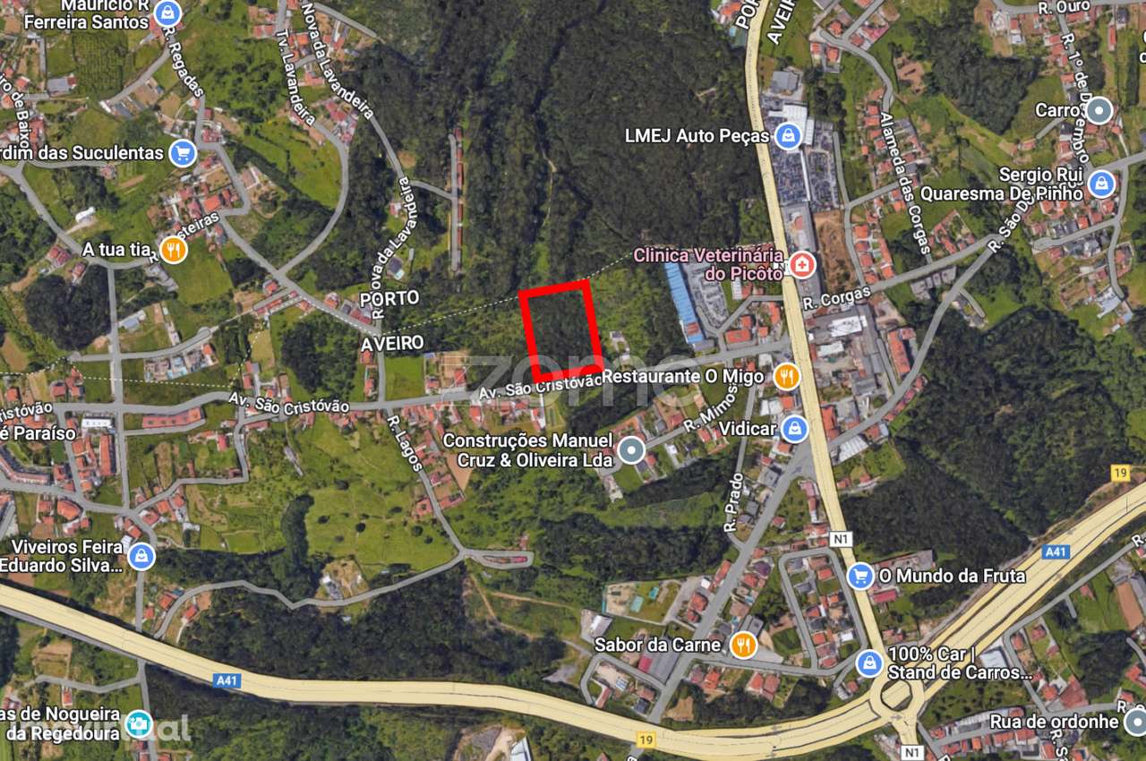 Terreno Rústico em Nogueira da Regedoura: Alto retorno do investime... - Grande imagem: 3/22