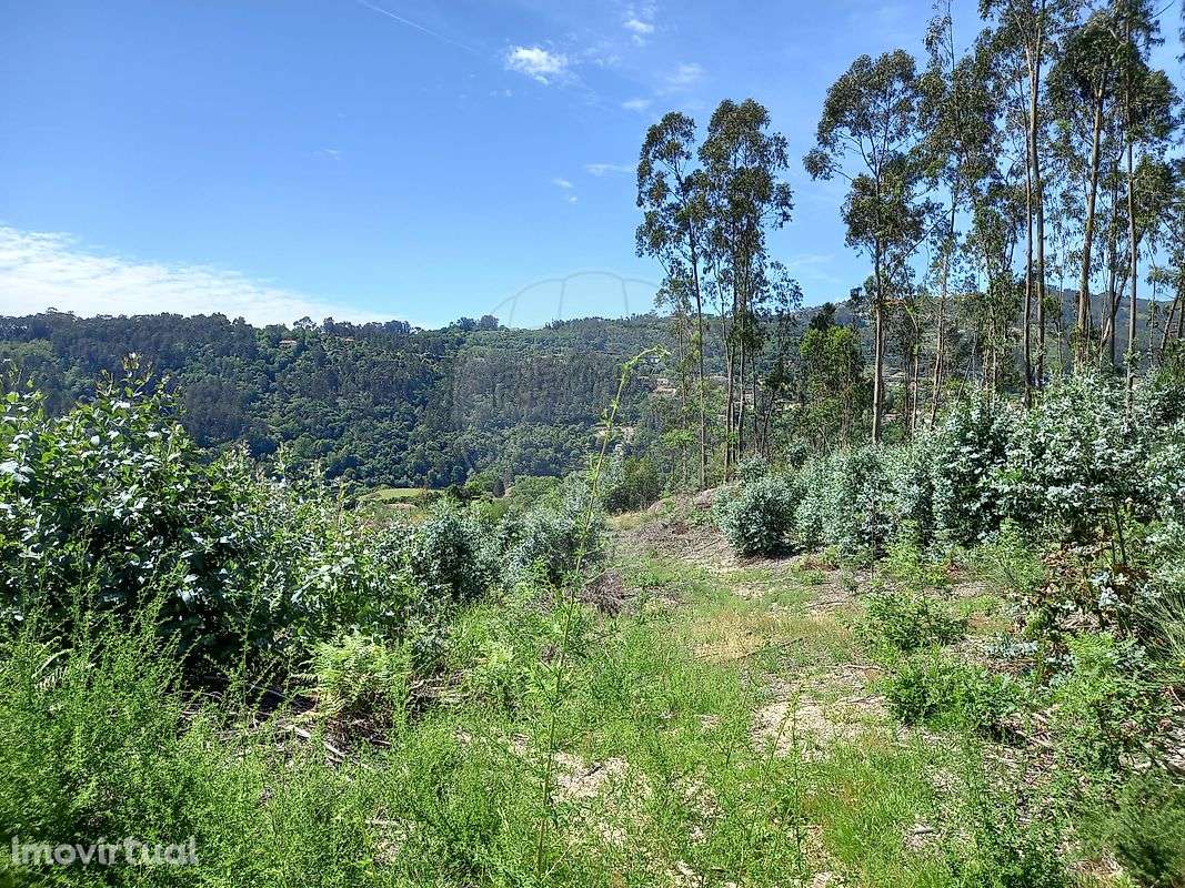 Terreno  para venda - Grande imagem: 2/7