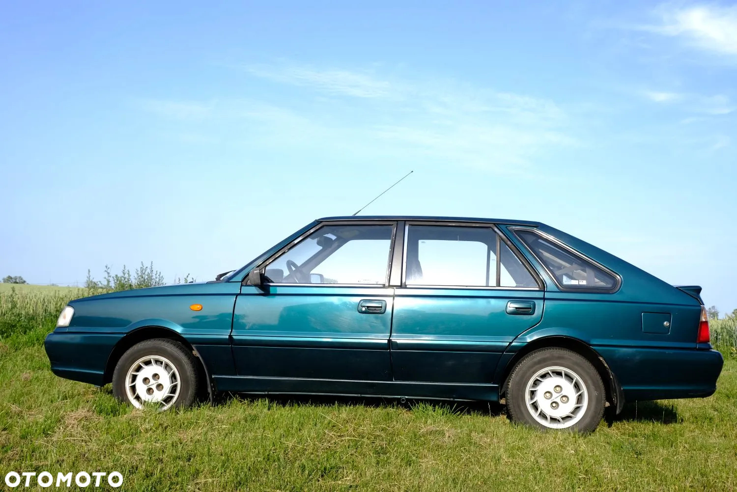 Polonez Caro - 10