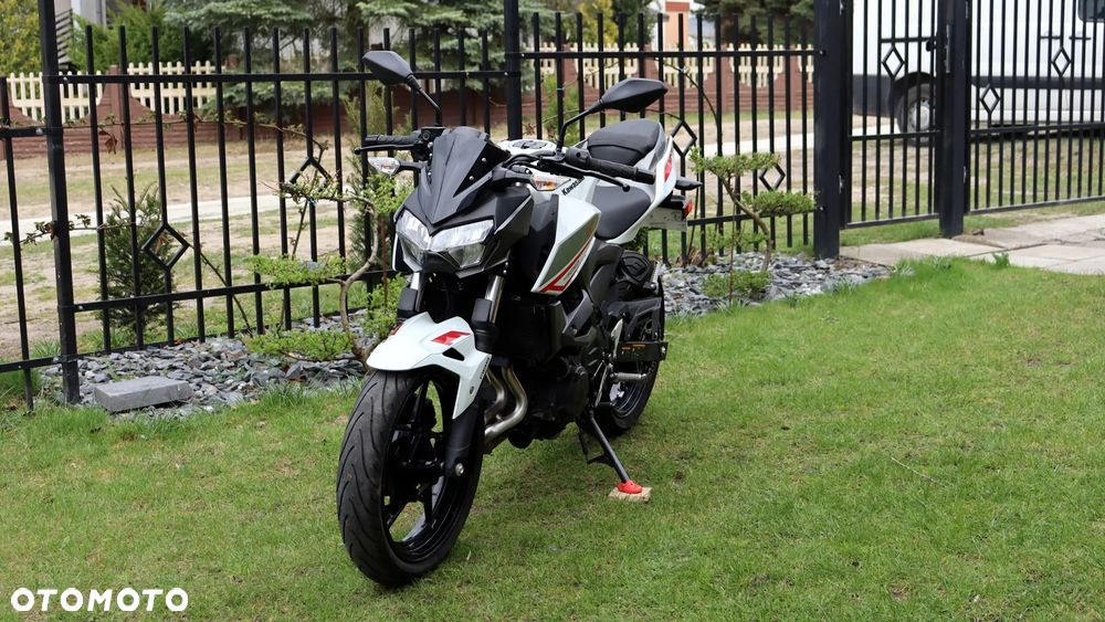 Kawasaki Z - 6