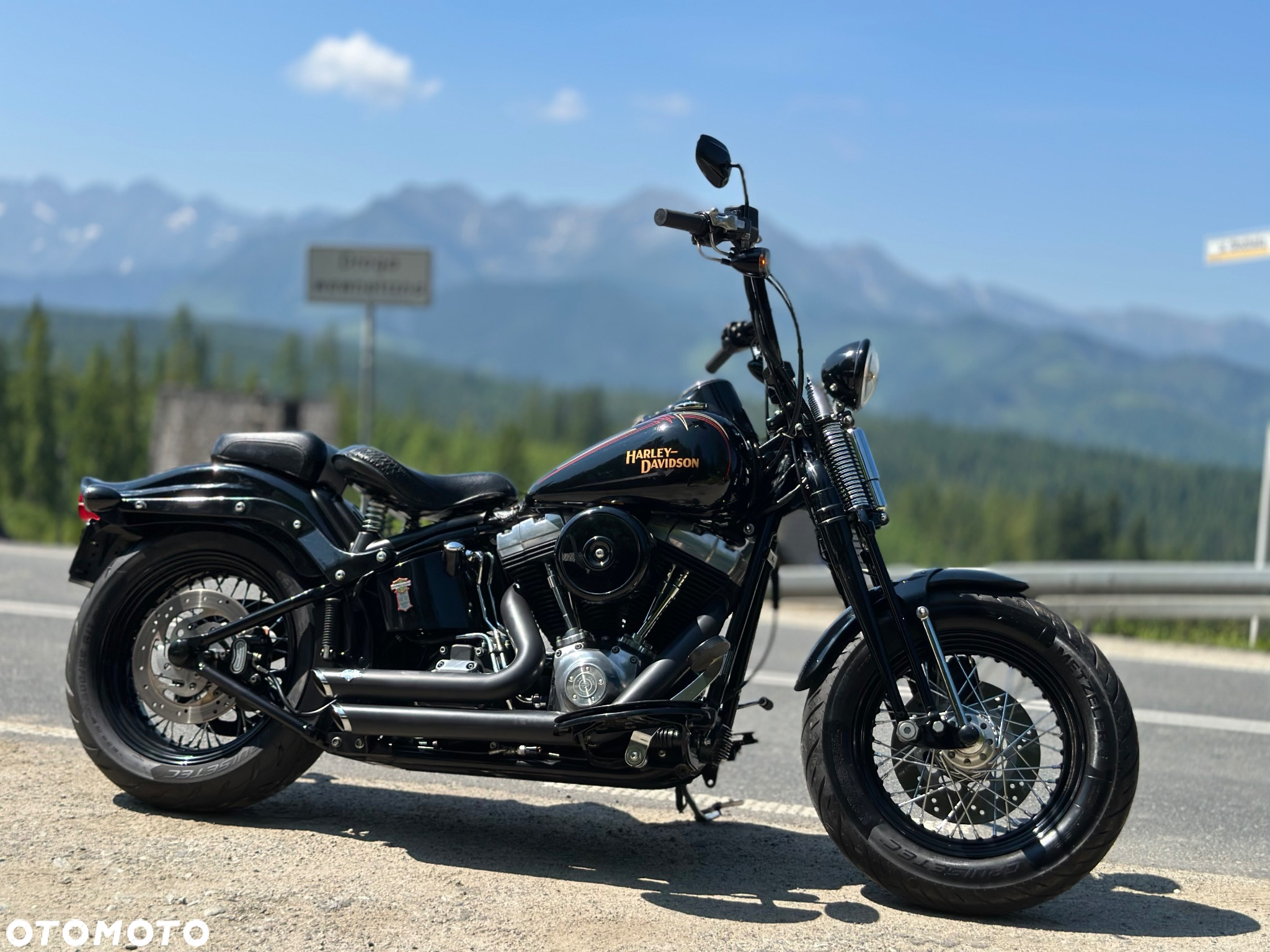 Harley-Davidson Softail Cross Bones - 15