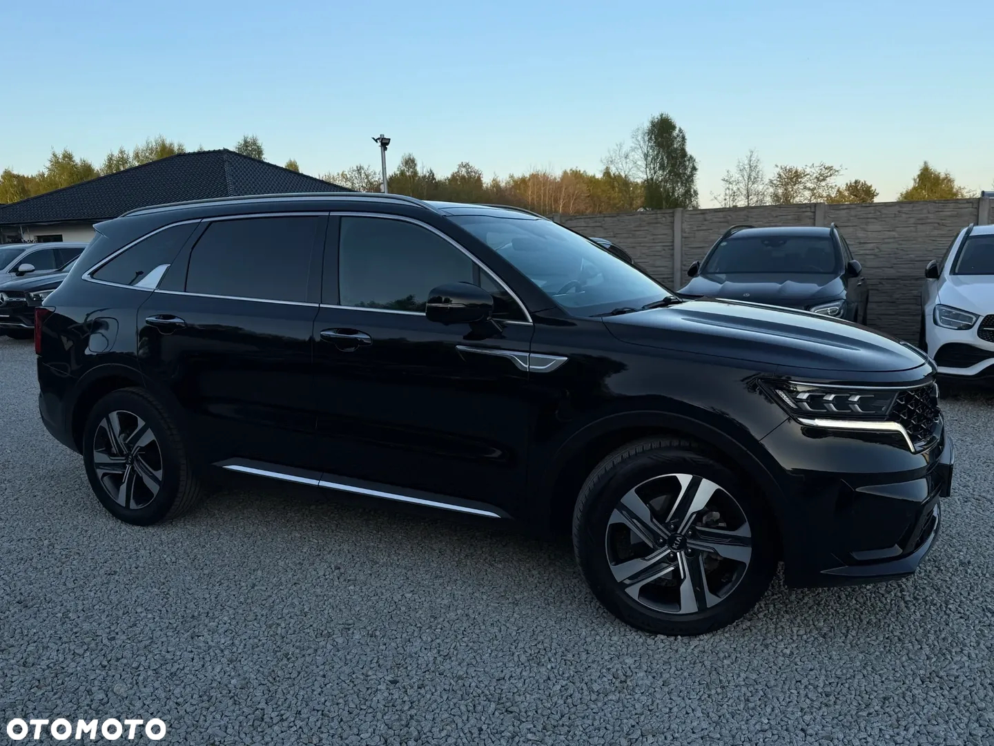 Kia Sorento 1.6 T-GDI HEV Prestige Line 4WD 7os - 16