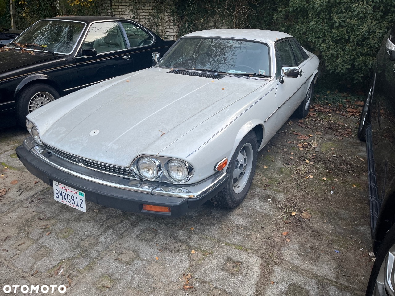 Jaguar XJS Convertible 5.3 - 2