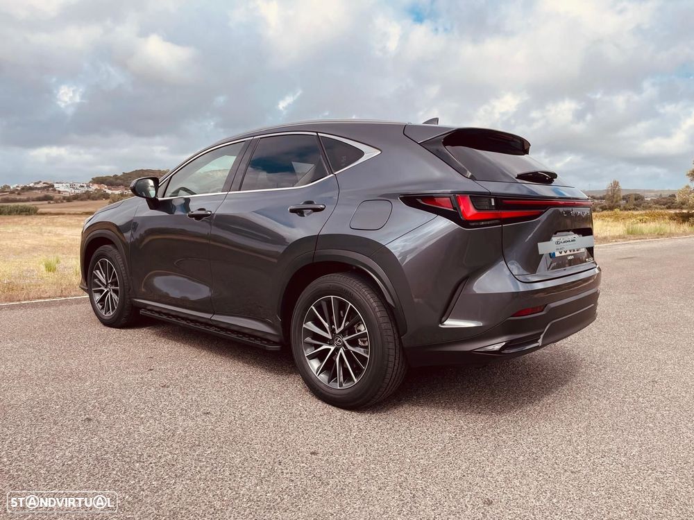 Lexus NX 450h+ Executive - 8