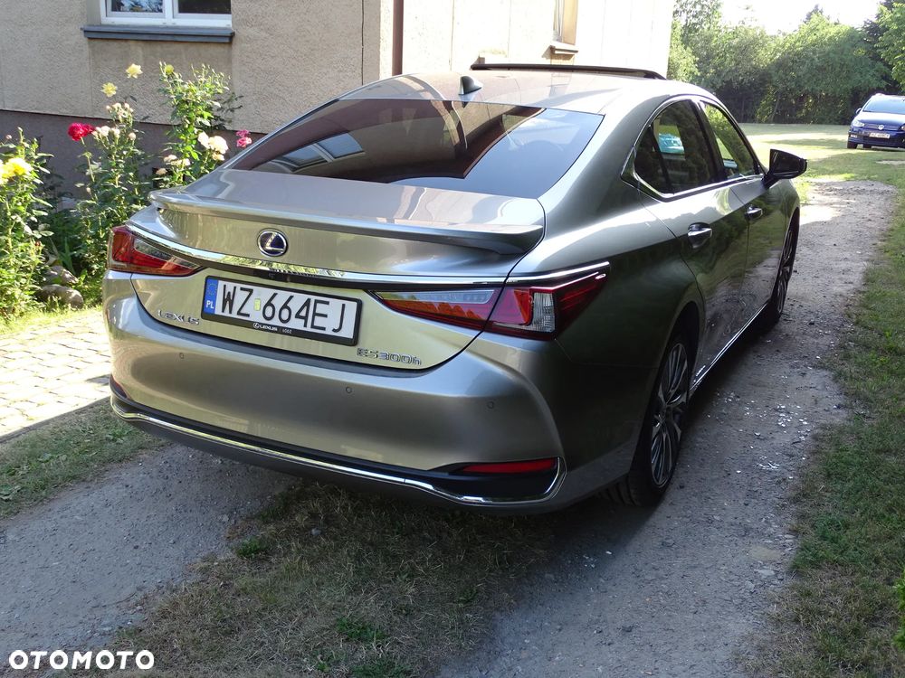 Lexus ES 300h Business Edition + - 6