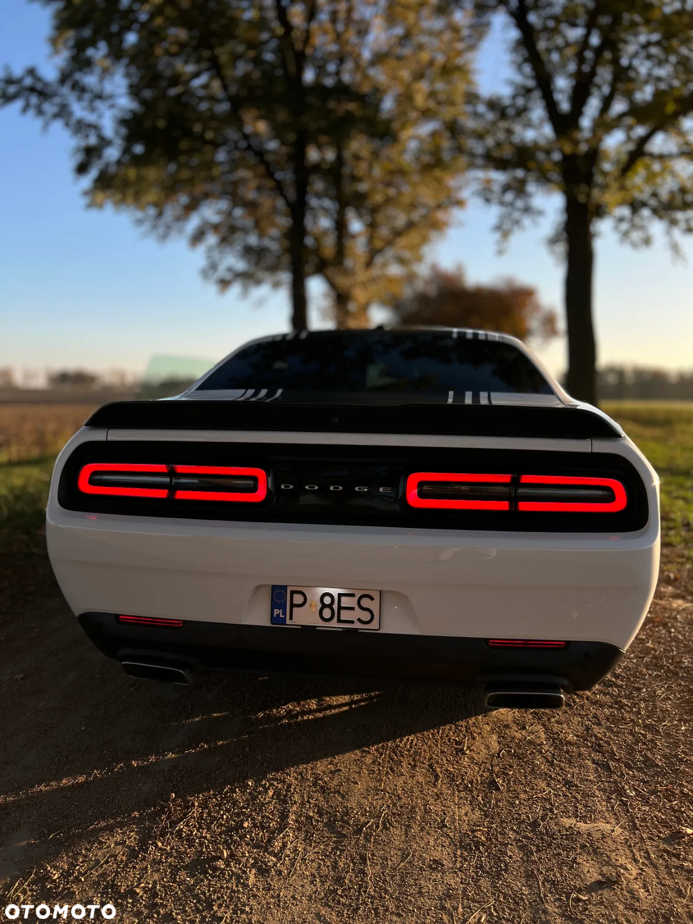 Dodge Challenger Automatik R/T Plus Shaker - 6