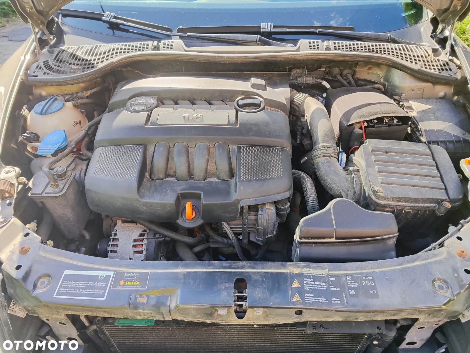 Skoda Octavia 1.6 Mint - 8