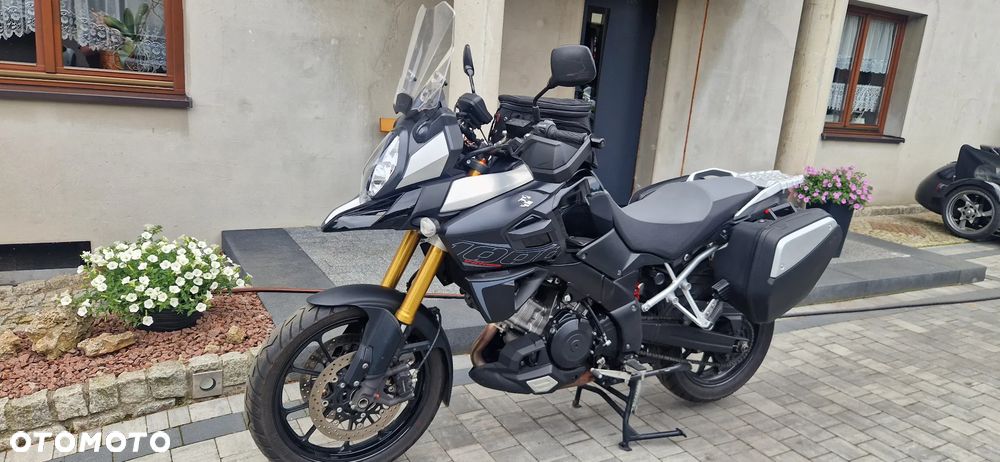 Suzuki DL - 10