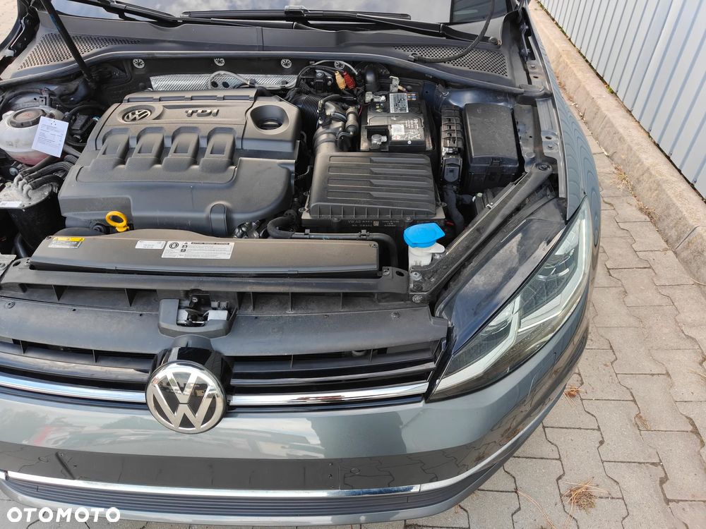 Volkswagen Golf - 29