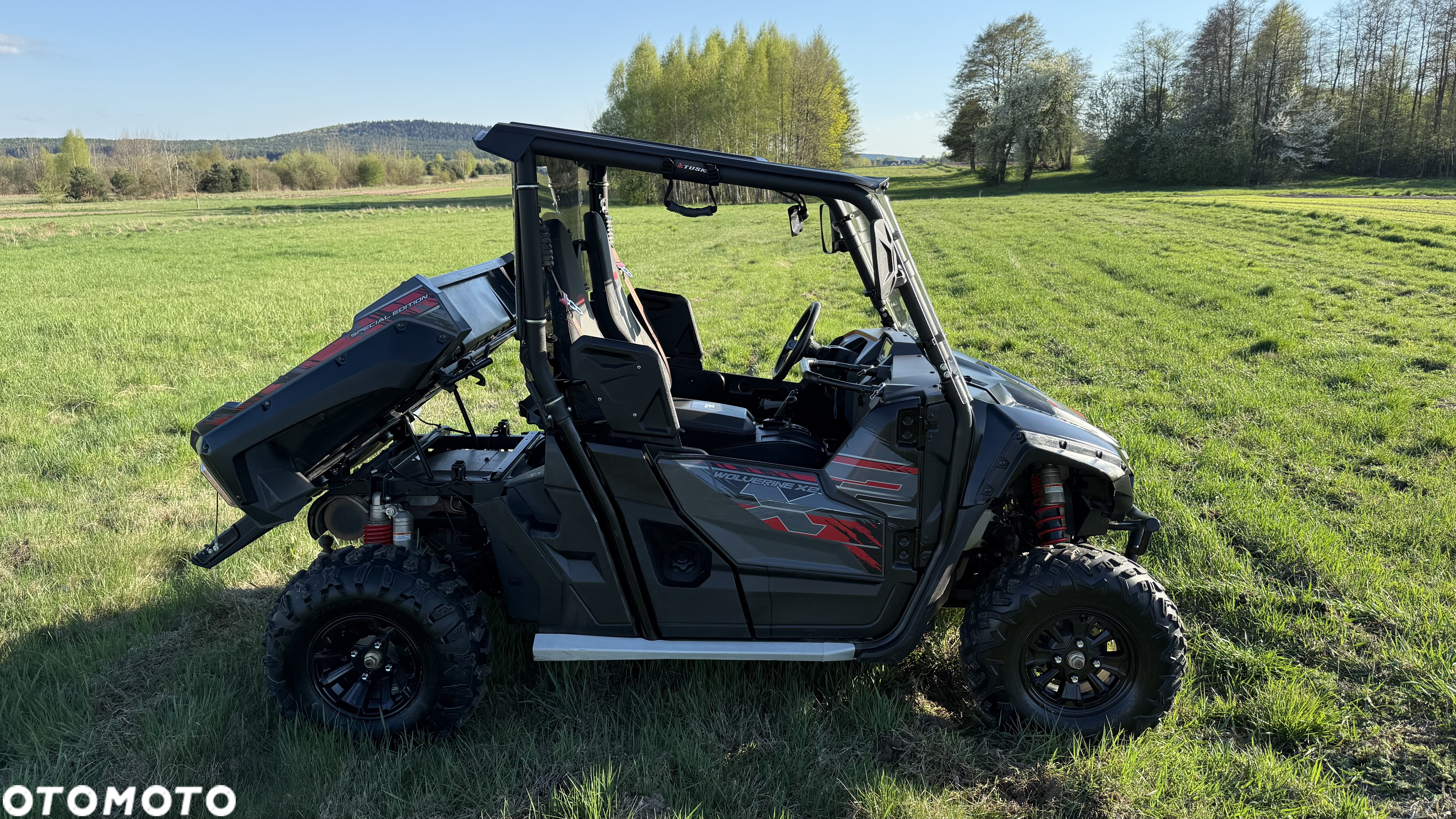Yamaha Wolverine - 6