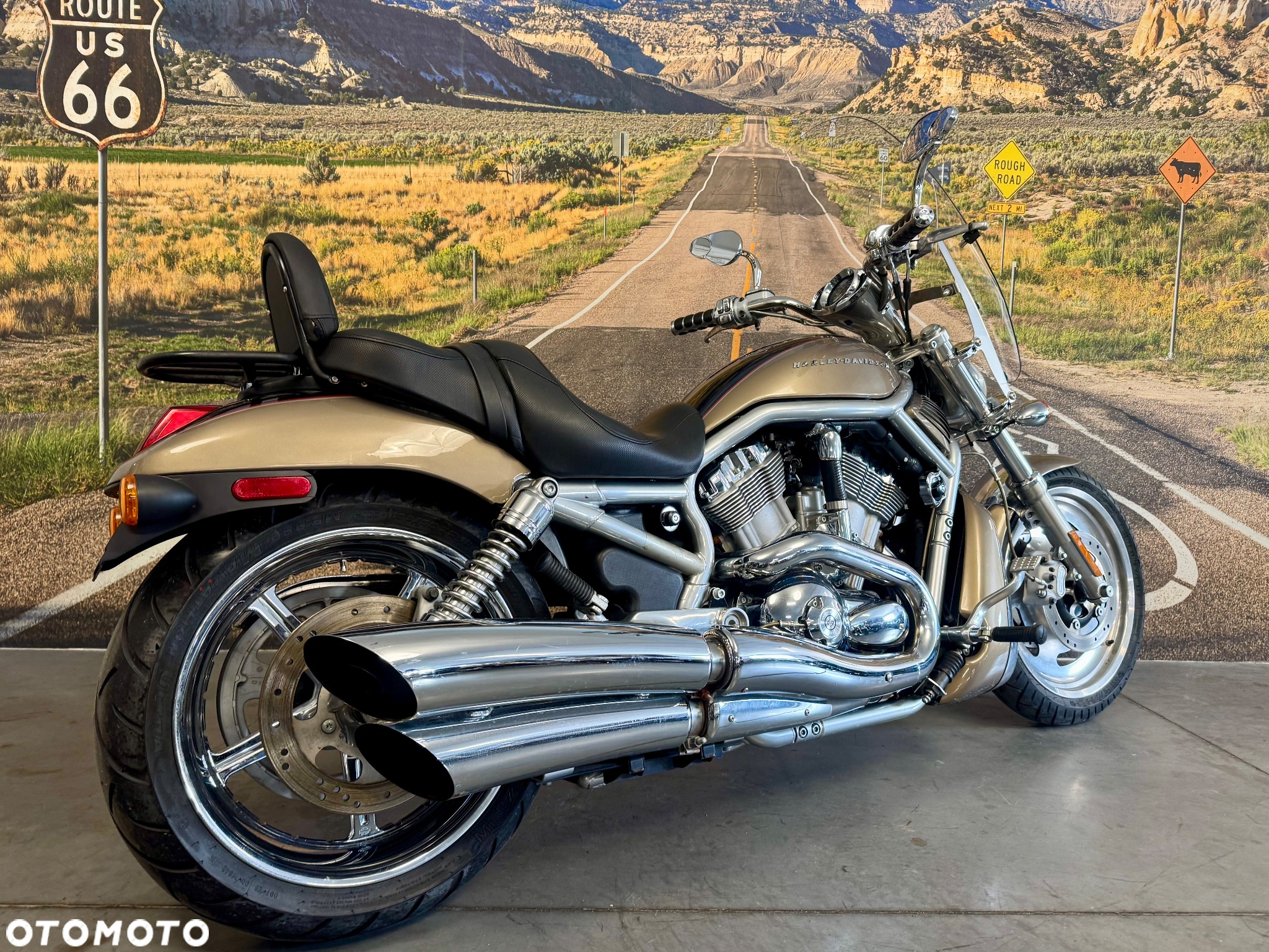 Harley-Davidson V-Rod Street Rod - 4