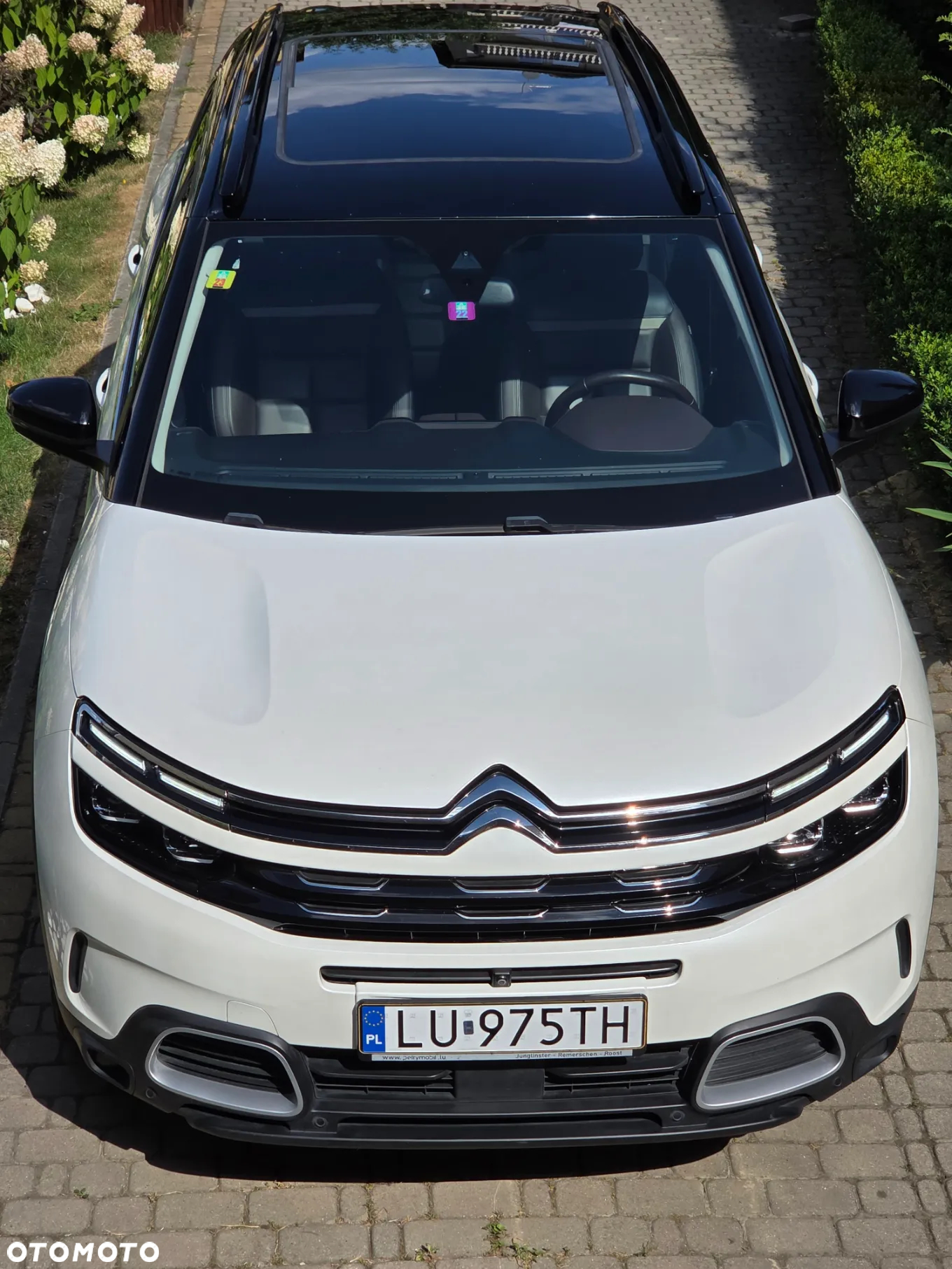 Citroën C5 Aircross BlueHDI 180 S&S EAT8 SHINE PACK - 33