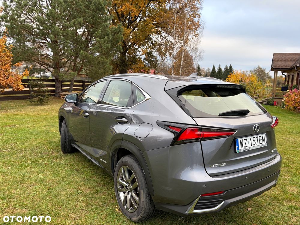 Lexus NX - 6