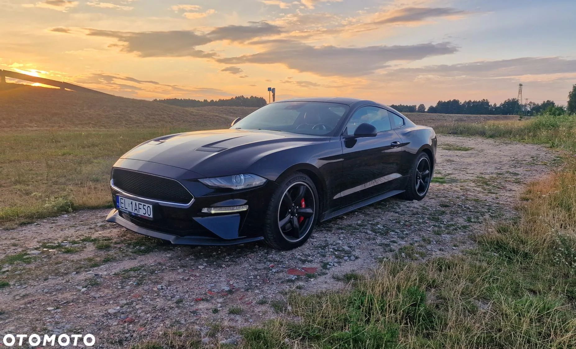 Ford Mustang 5.0 V8 Bullitt - 1