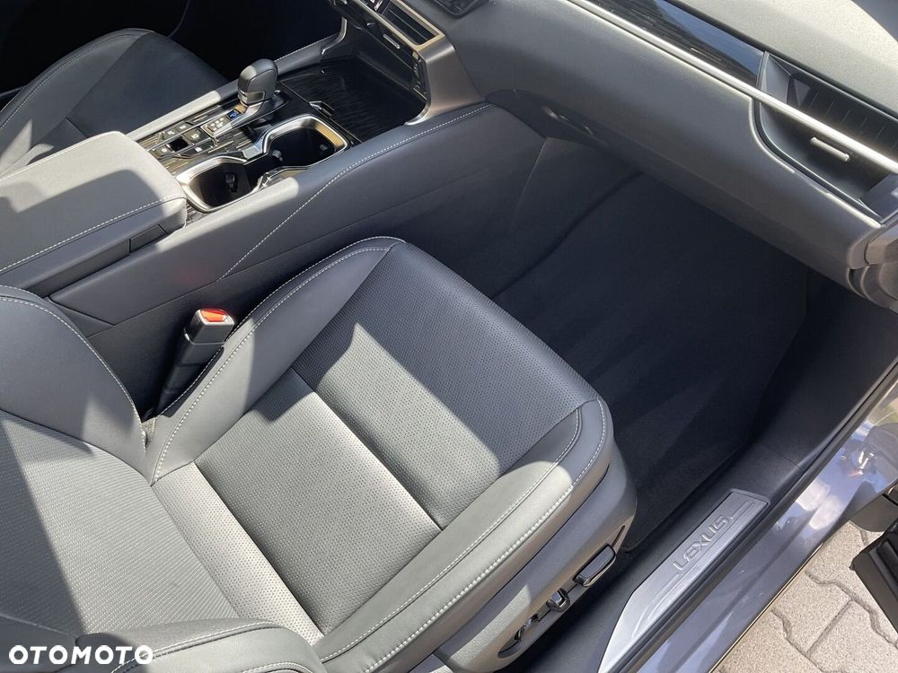 Lexus RX - 10